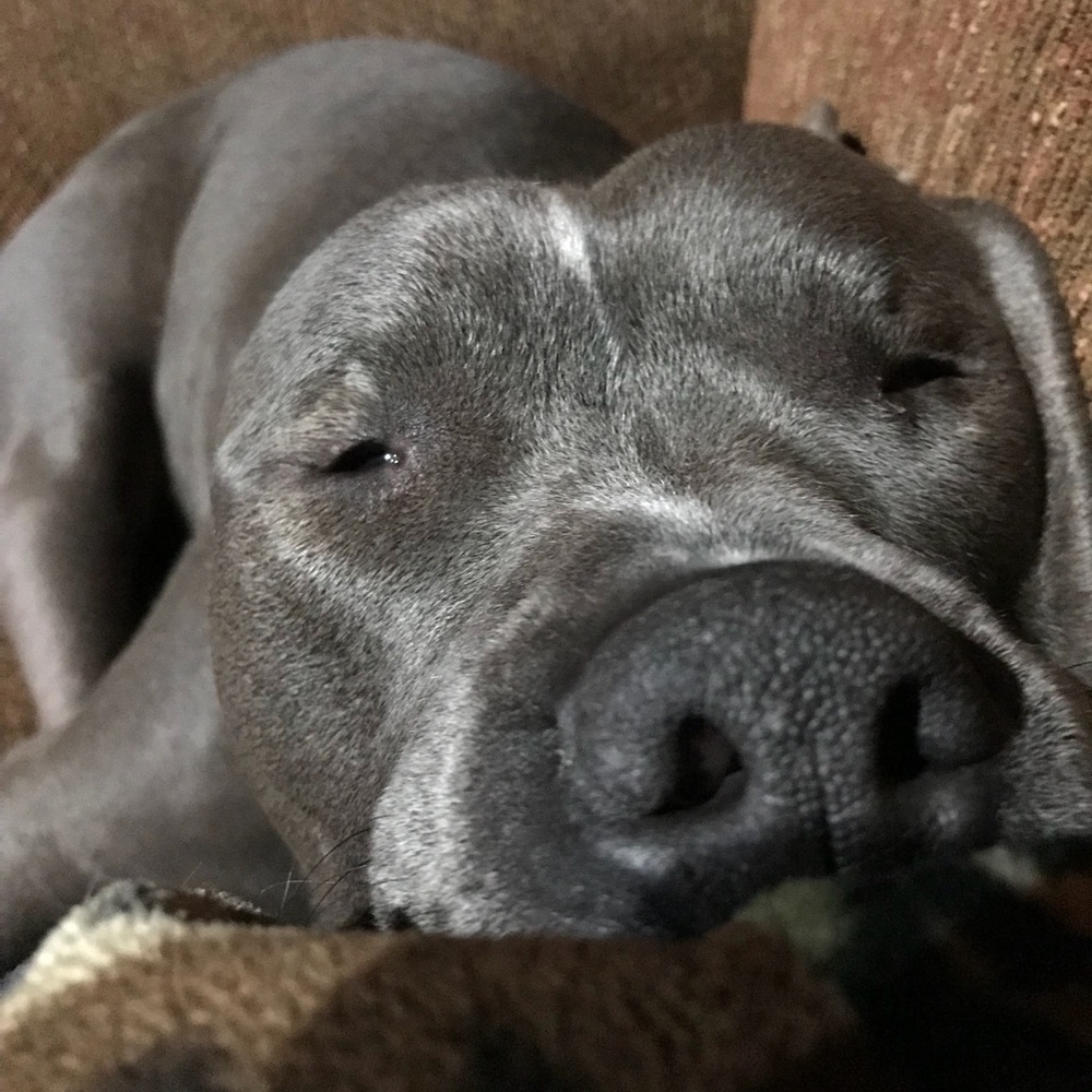 Meet your Posher, Carrie